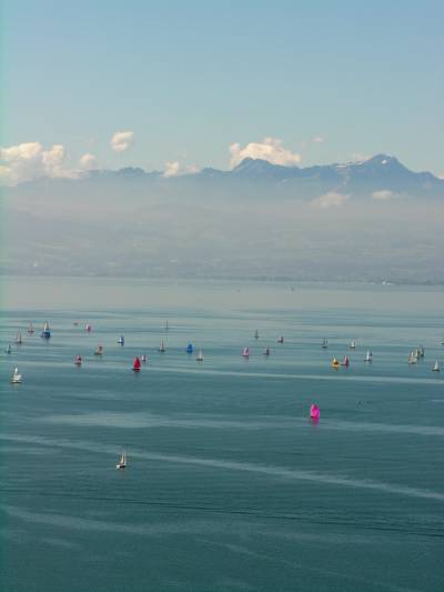 Blick auf den Bodensee mit den Segelyachten und den Alpen dahinter.